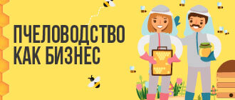 Пчеловодство как бизнес_мини